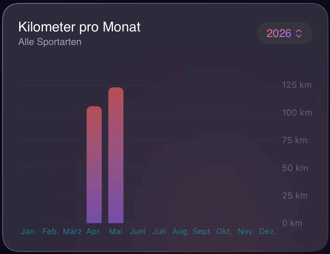 Diagramm Kilometer pro Monat